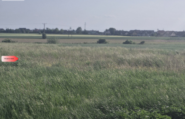 * Działka w Żninie 115 zł./mkw.
