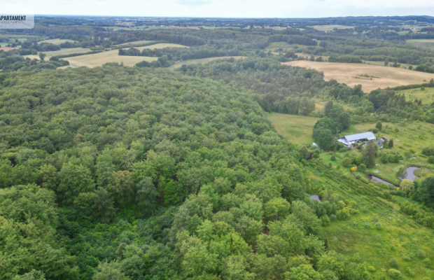 Działka inwestycyjna, nowa cena.