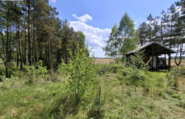 Piękna działka na Kaszubach z warunkami zabudowy