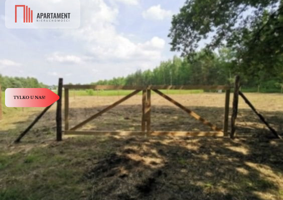 MPZP/1222 m2 z widokiem na las!