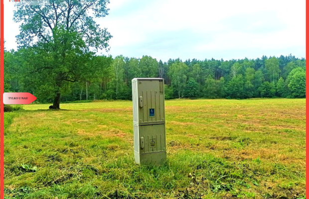 TYLKO U NAS - PAWŁÓWEK 1,8ha LAS CISZA SPOKÓJ