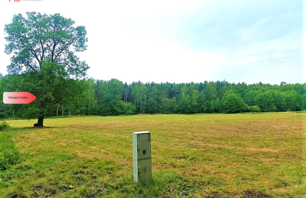 TYLKO U NAS - PAWŁÓWEK 1,8ha LAS CISZA SPOKÓJ