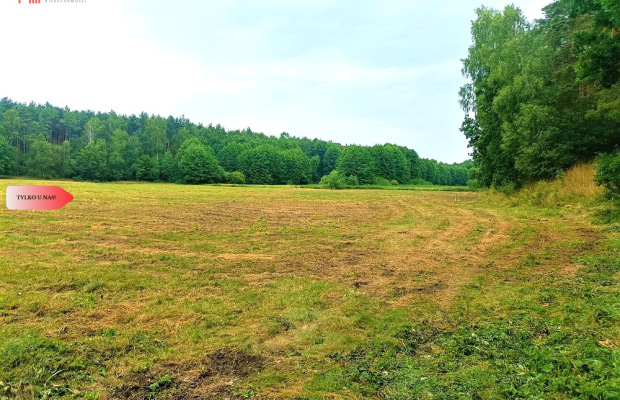 TYLKO U NAS - PAWŁÓWEK 1,8ha LAS CISZA SPOKÓJ