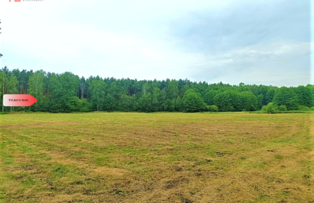 TYLKO U NAS - PAWŁÓWEK 1,8ha LAS CISZA SPOKÓJ
