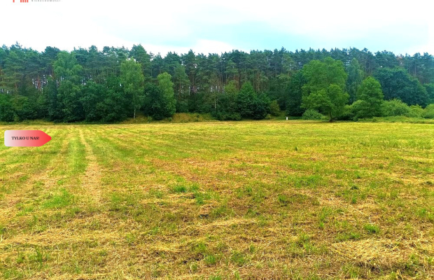 TYLKO U NAS - PAWŁÓWEK 1,8ha LAS CISZA SPOKÓJ