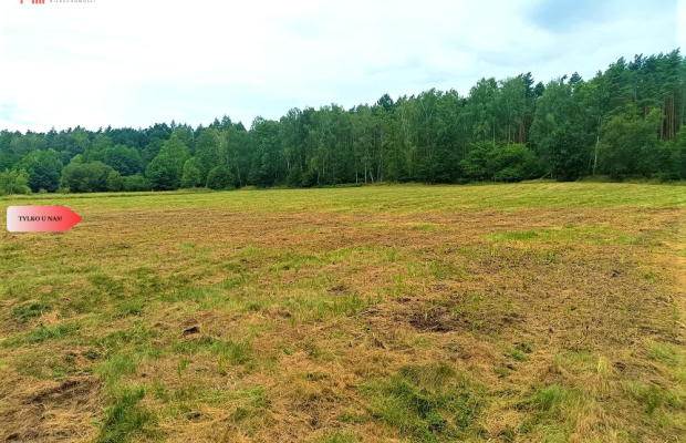 TYLKO U NAS - PAWŁÓWEK 1,8ha LAS CISZA SPOKÓJ