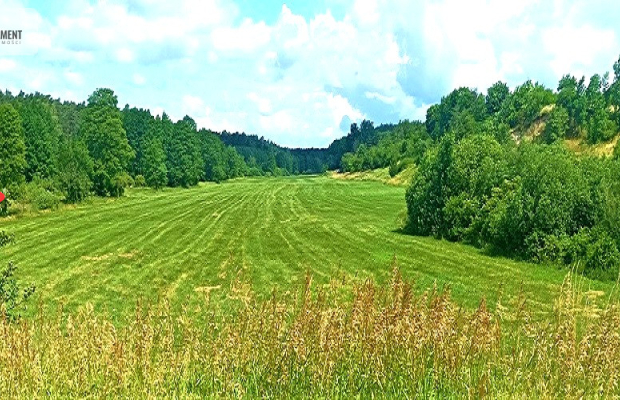 TYLKO U NAS - PAWŁÓWEK 1,8ha LAS CISZA SPOKÓJ