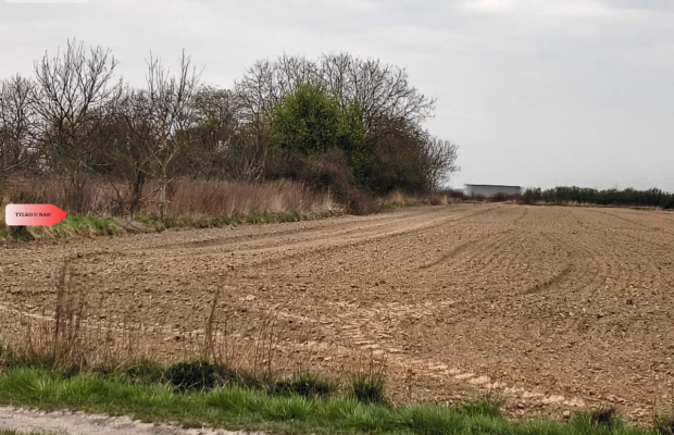 duża działka rolna przy A8