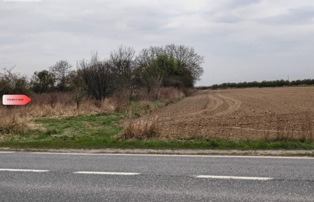 duża działka rolna przy A8