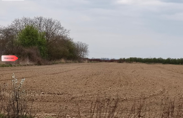 duża działka rolna przy A8