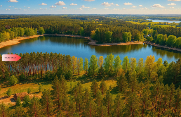 Działki z linią brzegową jeziora pod Toruniem