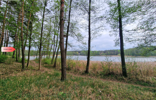 Działki z linią brzegową jeziora pod Toruniem