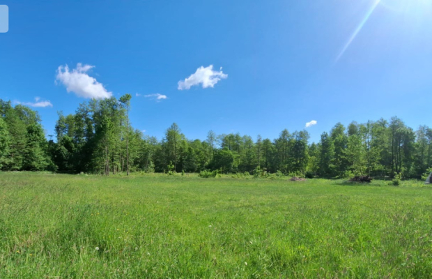 Uzbrojone działki budowlane –Załachowo