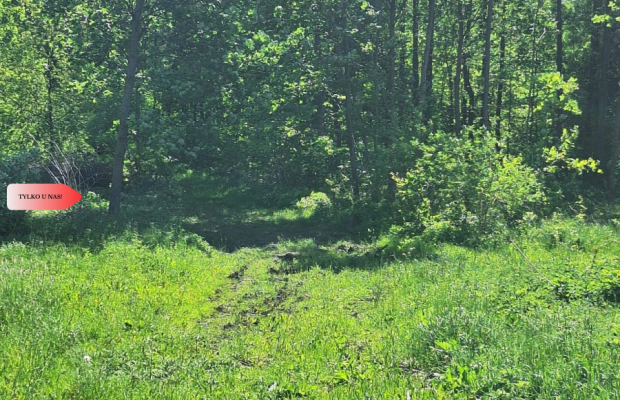 Uzbrojone działki budowlane –Załachowo