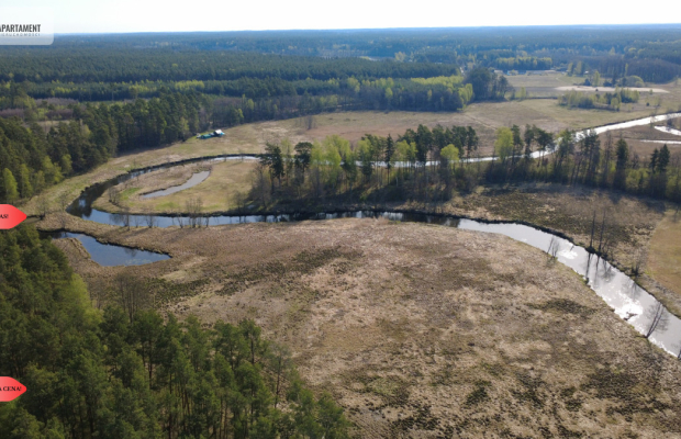 Działka 1,140 ha przy lesie Nad rzeką Wdą-Smolniki