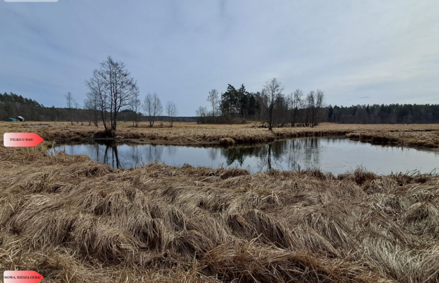 Działka 1,140 ha przy lesie Nad rzeką Wdą-Smolniki
