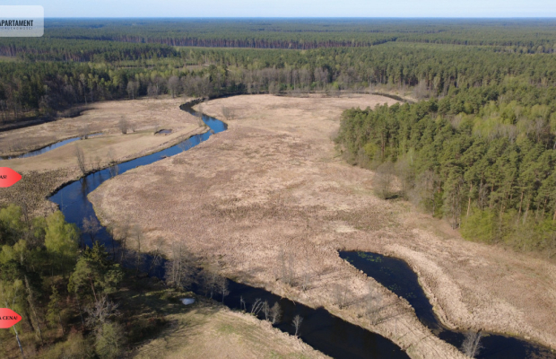 Działka 1,140 ha przy lesie Nad rzeką Wdą-Smolniki