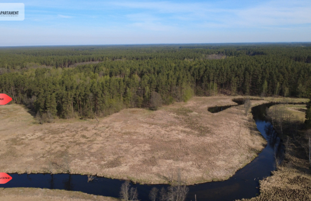 Działka 1,140 ha przy lesie Nad rzeką Wdą-Smolniki