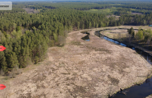 Działka 1,140 ha przy lesie Nad rzeką Wdą-Smolniki