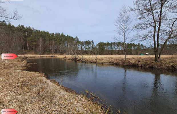Działka 1,140 ha przy lesie Nad rzeką Wdą-Smolniki