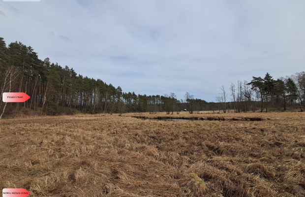 Działka 1,140 ha przy lesie Nad rzeką Wdą-Smolniki
