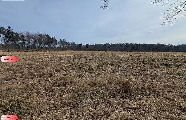 Działka 1,140 ha przy lesie Nad rzeką Wdą-Smolniki
