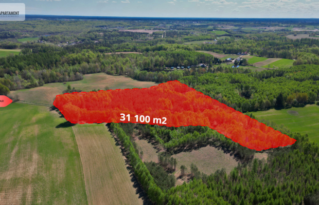 3 ha las, staw | Wydane warunki zabudowy