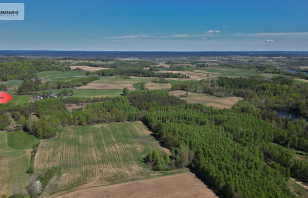 3 ha las, staw | Wydane warunki zabudowy