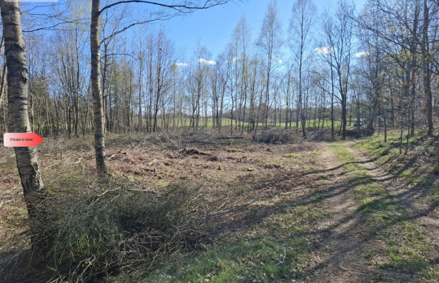 3 ha las, staw | Wydane warunki zabudowy