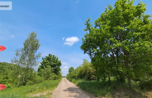 OKAZJA! Działka pod domek letniskowy – Osiek