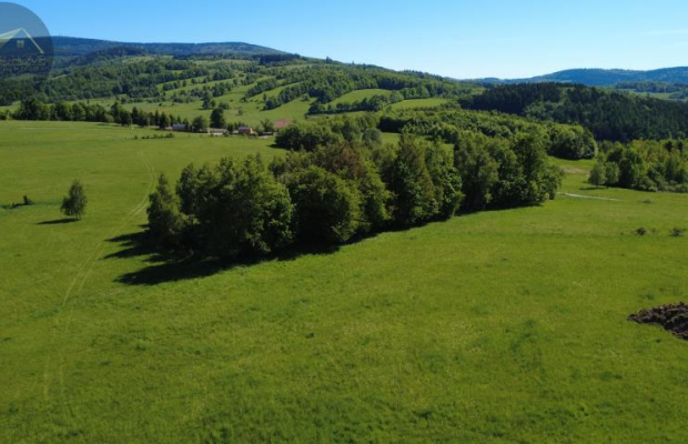 Działka 4090 m² z warunkami zabudowy – Boreczna