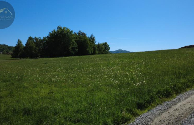Działka 4090 m² z warunkami zabudowy – Boreczna