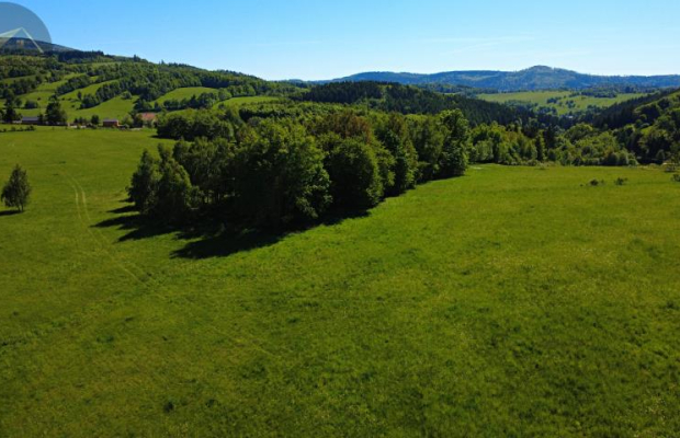 Działka 4090 m² z warunkami zabudowy – Boreczna