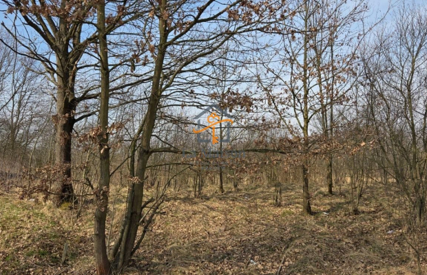 Działka z MPZP | Marcyporęba, gm. Brzeźnica