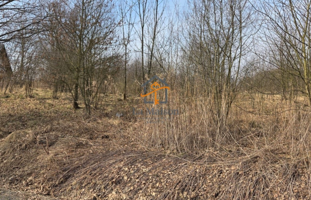 Działka z MPZP | Marcyporęba, gm. Brzeźnica