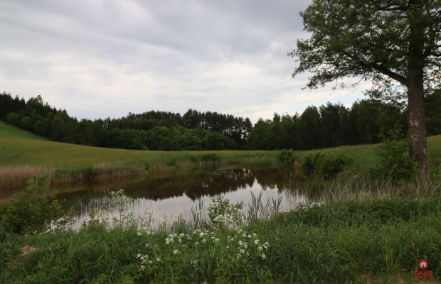 Dom wśród natury