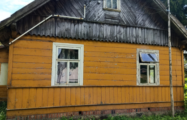 Siedlisko Kowale + las