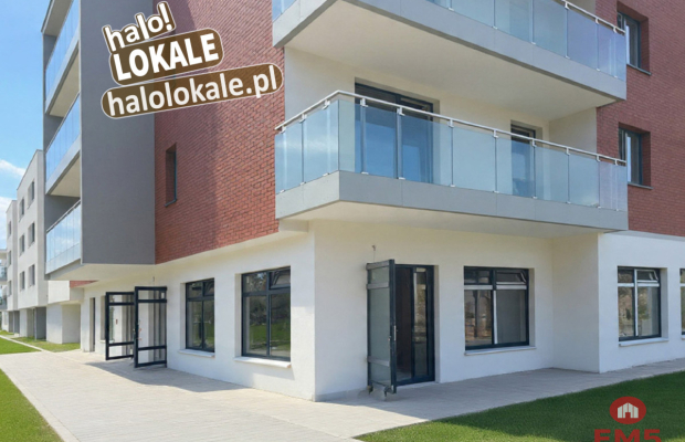 Nowe lokale do wynajęcia