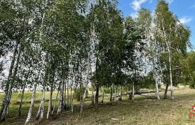 Działka budowlana 1000 m2, Rafałówka