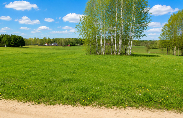 Działka budowlana 1000 m2, Tołcze