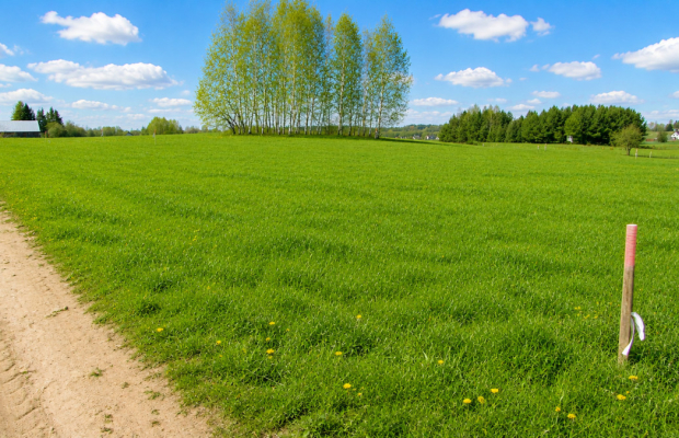 Działka budowlana 1000 m2, Tołcze