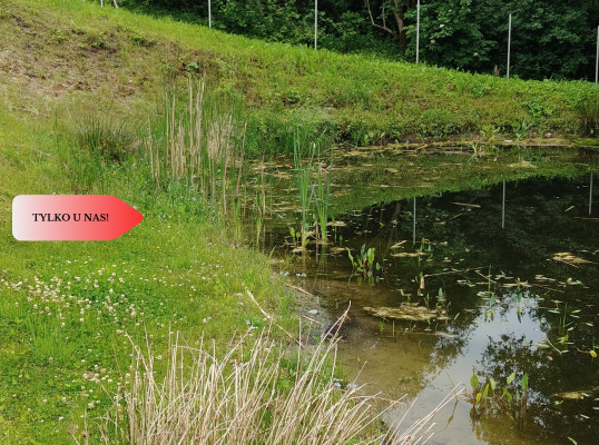 OBNIŻKA !!!Dom nad rzeką dz. 2924 m²  Natura 2000