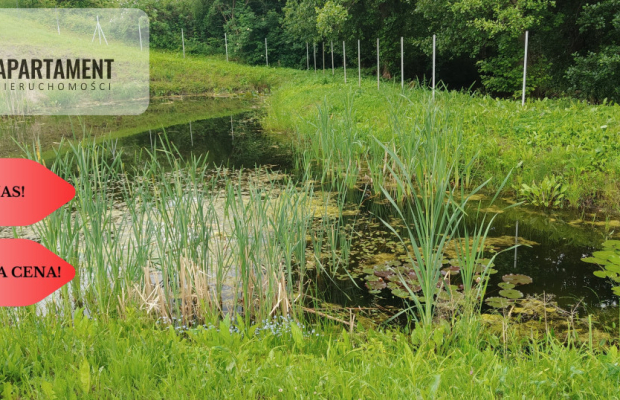 OBNIŻKA !!!Dom nad rzeką dz. 2924 m²  Natura 2000