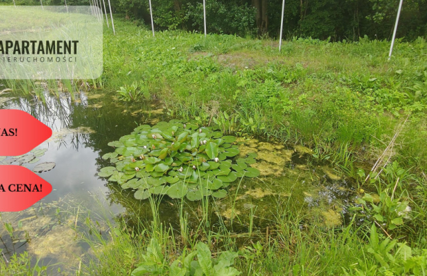OBNIŻKA !!!Dom nad rzeką dz. 2924 m²  Natura 2000