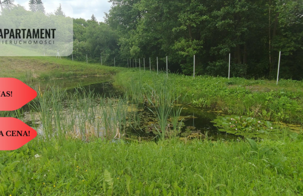 OBNIŻKA !!!Dom nad rzeką dz. 2924 m²  Natura 2000