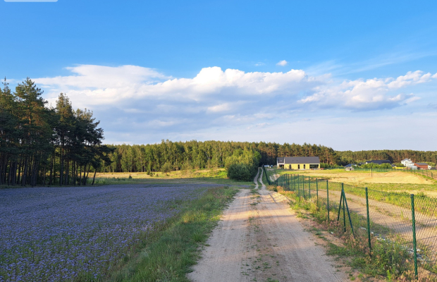 Nowoczesny dom typu stodoła, blisko Bydgoszczy