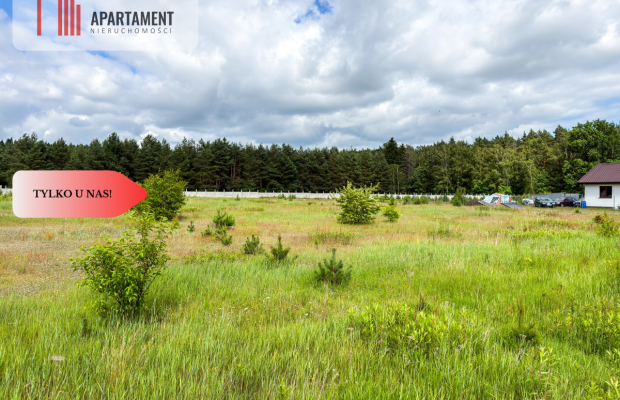 Tylko u nas! Działki 1006-1169m² WZ przy lesie