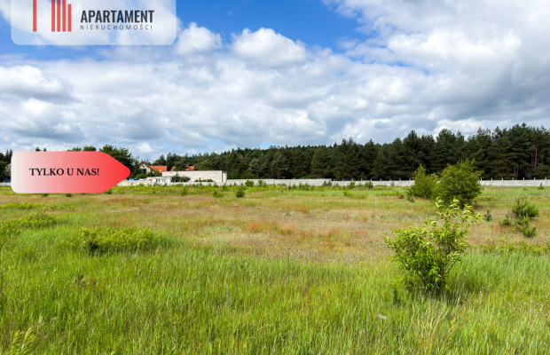 Tylko u nas! Działki 1006-1169m² WZ przy lesie