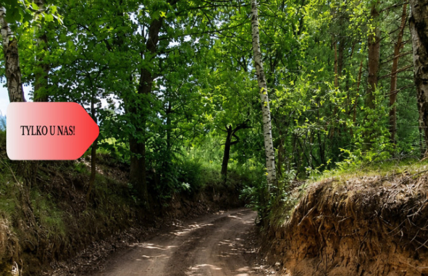 Spokój, natura, jeziora–działka zagrodowa Dormowo