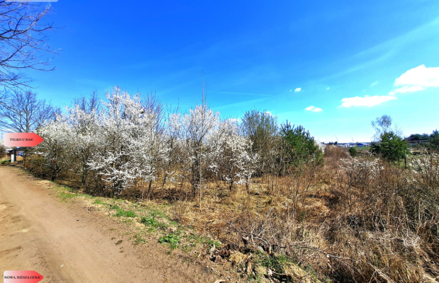 MORZEWIEC 3260m2, WYDANE WZ, CISZA, SPOKÓJ